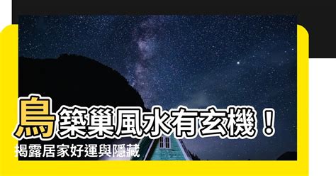 鳥築巢風水|【家裡有鳥築巢】鳥巢報喜！1個跡象代表家宅運勢大。